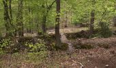 Tour Wandern Canteleu - Cavée du May - chemin de la Bécasse  - Photo 5