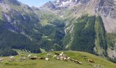 Randonnée Marche Ceillac - cols Tronchet et Girardin  - Photo 4