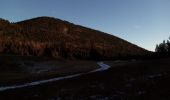 Tocht Stappen Saint-Martin-en-Vercors - Pas st Martin - Photo 7