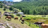 Percorso Marcia Sainte-Foy-Tarentaise - Col de l'aiguille par le lac du clou - Photo 6