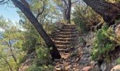 Trail Walking Toulon - Plateau du faron - Photo 10
