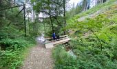 Tour Wandern Weismes - Prak beer brune - Photo 8