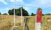 Trail Walking Thimister-Clermont - Along the Berwinne towards Val Dieu - Tourist ballad - Photo 5