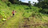 Trail Walking Le Lorrain - Chemin Gauthier - Chemin Tanic - Photo 3