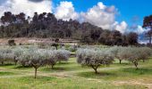 Trail Walking Carcès - SityTrail - Carces - Photo 10