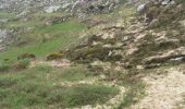 Tocht Te voet West Cork - Cahergal Loop Walk - Photo 7