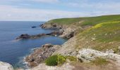 Percorso Marcia Plogoff - 2019 06 12 Loc'h Baie des Trépassés par Pointe du Raz - Photo 5