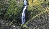 Tour Wandern Urmatt - Lutzelhouse Rosinen Fels , cascade,séquoia  - Photo 14