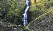 Randonnée Marche Urmatt - Lutzelhouse Rosinen Fels , cascade,séquoia  - Photo 14