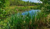 Tour Zu Fuß Märkische Heide - Wanderweg Dürrenhofe-Kuschkow-Pretschen - Photo 4