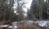Trail Walking Spa - autour de berinzenne - mousseux - Photo 1