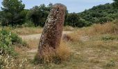 Randonnée Marche Saint-Raphaël - Menhir de Peyronne - Menhir des Veyssieres  par les Ferrières - Photo 7