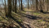 Tour Wandern Hamoir - Le Guêt - rectangle vert  - Photo 1