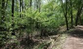 Tour Zu Fuß Blankenfelde-Mahlow - Naturlehrpfad - Photo 2