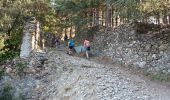 Trail Walking Val-d'Aigoual - 4000 marches-14-06-22 - Photo 2