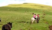 Trail Equestrian Albepierre-Bredons - TDV-Prat de Bouc-Chalinargues-1 - Photo 1