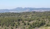 Tocht Stappen Cheval-Blanc - Gorges de regalon - Photo 7