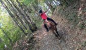 Trail Horseback riding Pisieu - Pisieu 2  - Photo 4