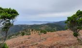 Tocht Stappen Cavalaire-sur-Mer - rando avec serge et Ibrahim   le Pradet e retour par bonporteau - Photo 7