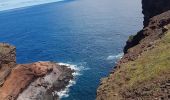 Trail Walking Caniçal - Madère : la presqu'île de Sao Lourenço - Photo 20