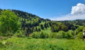 Excursión Senderismo Montcel - MASSIF DES BAUGES: PLATEAU DU REVARD AUTOUR DE LA CROIX DES BERGERS - Photo 1