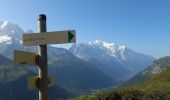 Excursión Senderismo Chamonix-Mont-Blanc - GTMB Etape 2 l'Argentière Trient - Photo 3