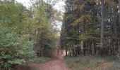 Trail Walking Newel - RÖMERPFAD - Photo 9