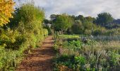 Tour Wandern Ottignies-Louvain-la-Neuve - LLN Undercover - Photo 4