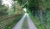 Trail On foot Unknown - Ww Altchemnitz-Berbisdorf-Eisenweg - Photo 5