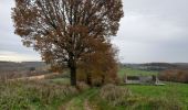 Tocht Stappen Profondeville - Arbre (Profondeville) - Photo 5