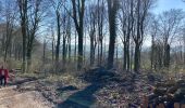 Trail Walking Mont-de-l'Enclus - Amougies 16 km - Photo 2