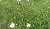 Tour Wandern Camaret-sur-Mer - CAMARET  - Photo 19