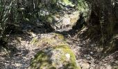Trail Walking Venaco - Venez-vous - Photo 4