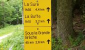 Randonnée Marche Autrans-Méaudre en Vercors - La grande Breche - Photo 18