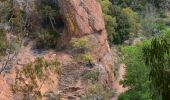 Excursión Senderismo Saint-Raphaël - Pk Col de Belle Barbe - Col du Mistral - Pont du Perthus - Étang de la Gabre - Croupe Baptiston - Ravin du Mal Infernet - Photo 10