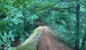 Tour Wandern Esch an der Alzette - Terres Rouges Esch Ellergron 18 km - Photo 2