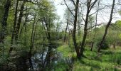 Tour Zu Fuß Blankenfelde-Mahlow - Naturlehrpfad - Photo 6