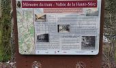 Trail Walking Fauvillers - Sur les traces des chevaliers maudits de Bodange  - Photo 1