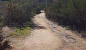 Trail Walking Pollionnay - Col de la Luère  - Photo 5