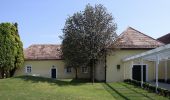 Tour Zu Fuß Siegendorf - Naturweg-Tour (Vital-Parcours Siegendorf) - Photo 10