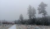 Tocht Stappen Theux - dans le givre de Crambon  - Photo 9