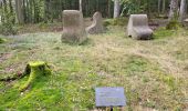 Percorso Marcia Wisches - Wisches - circuit 2 des sculptures - Photo 2