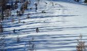 Randonnée Ski de randonnée Cervières - Costebelle ouest cerviere - Photo 5