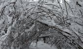 Percorso Racchette da neve Basse-sur-le-Rupt - 20210102_raq_Planois_Chalet-des-Charmes - Photo 4