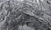 Trail Snowshoes Basse-sur-le-Rupt - 20210102_raq_Planois_Chalet-des-Charmes - Photo 4