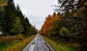 Trail Walking Baelen - 20231030 - Drossart 7.8 Km - Photo 20