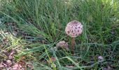 Trail Walking Rocamadour - rocamadour - Photo 16