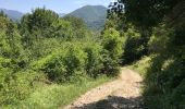 Trail Walking Pescasseroli - Pescasseroli Opi Colle Alti 18 km - Photo 13