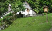 Tour Zu Fuß Gemeinde Kirchdorf in Tirol - Wanderweg 9 - Niederkaiser - Photo 3