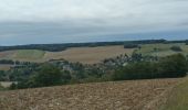Trail Walking Vauchassis - Bois de maître Jacques - Photo 1
